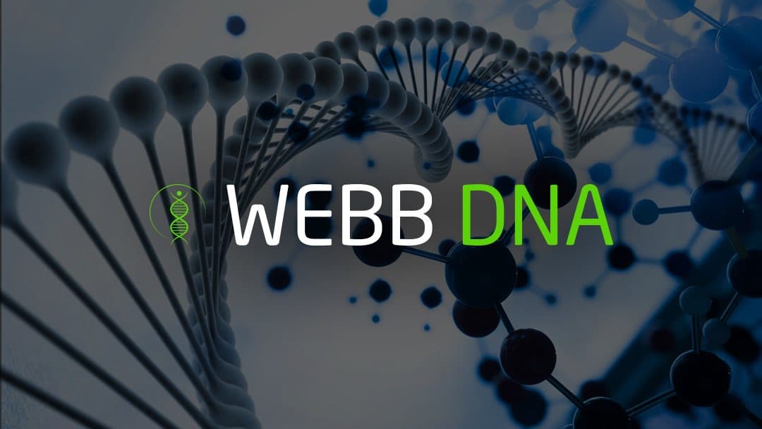 Webb-DNA Gift Cards